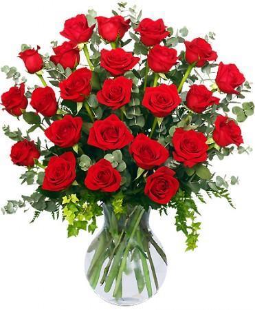 24 Radiant Red Roses - Clayton Florist: The Florist At Plantation