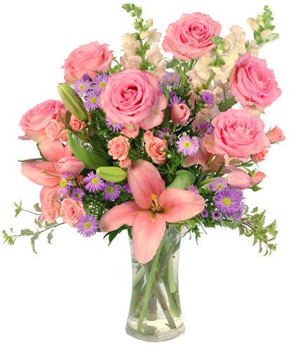 Rose Blush - Selma Flower Co