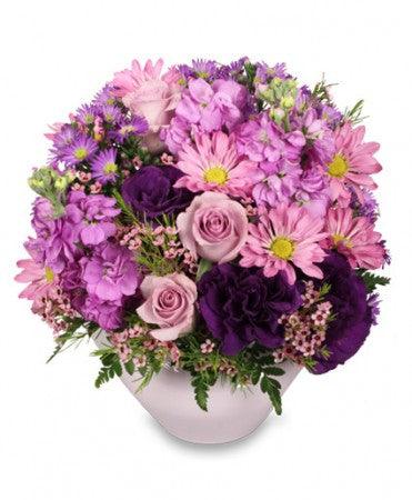 Lavendar Garden - Clayton Florist: The Florist At Plantation