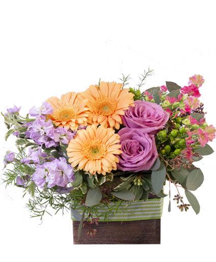 Blooming Wild - Clayton Florist: The Florist At Plantation