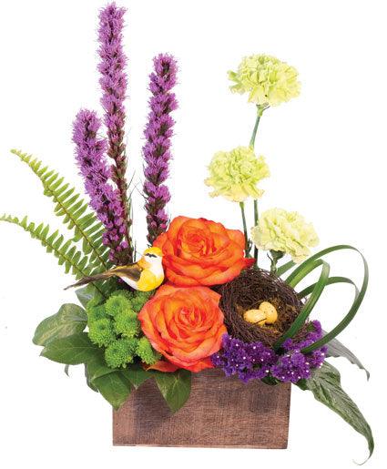 Brush of Blooms - Clayton Florist: The Florist At Plantation