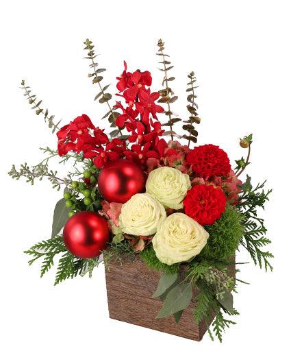 Cheerful Comfort - Clayton Florist: The Florist At Plantation