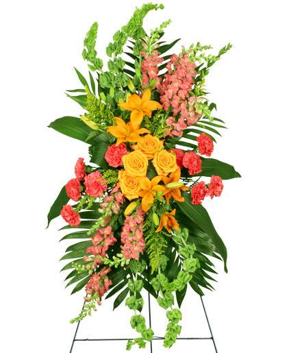 Glorious Life - Clayton Florist: The Florist At Plantation