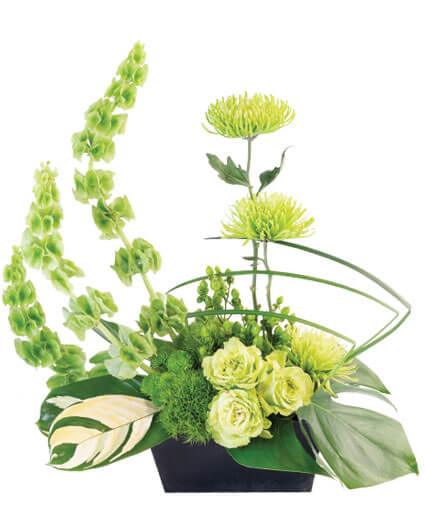 Lovely Lime - Clayton Florist: The Florist At Plantation