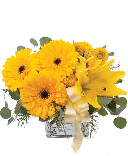 Petite Yellow - Clayton Florist: The Florist At Plantation