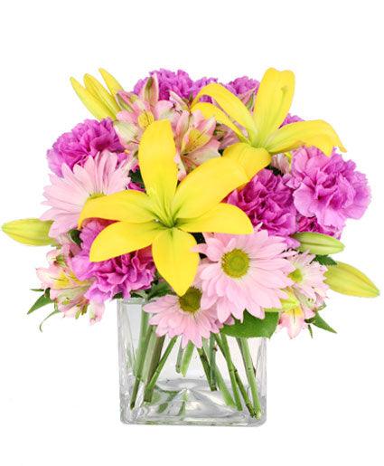 Spring Forward - Clayton Florist: The Florist At Plantation