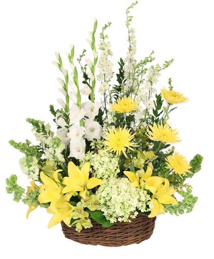 Prayerful Whisper - Clayton Florist: The Florist At Plantation