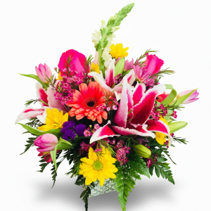 Bright & Cheerful Garden Mix