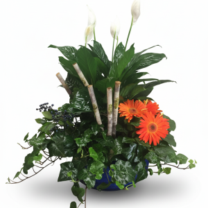 Garden Path Planter