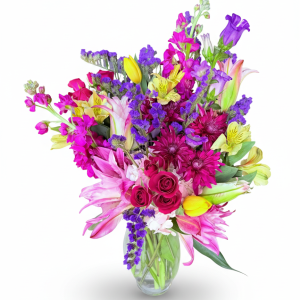 Lily Blast