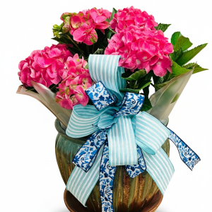 Pink Hydrangea Garden Pot