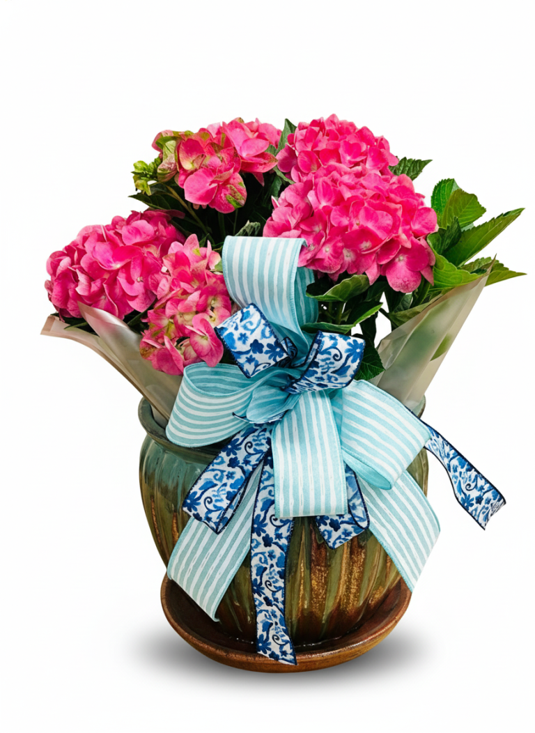 Sympathy Plants from Selma Flower Co.