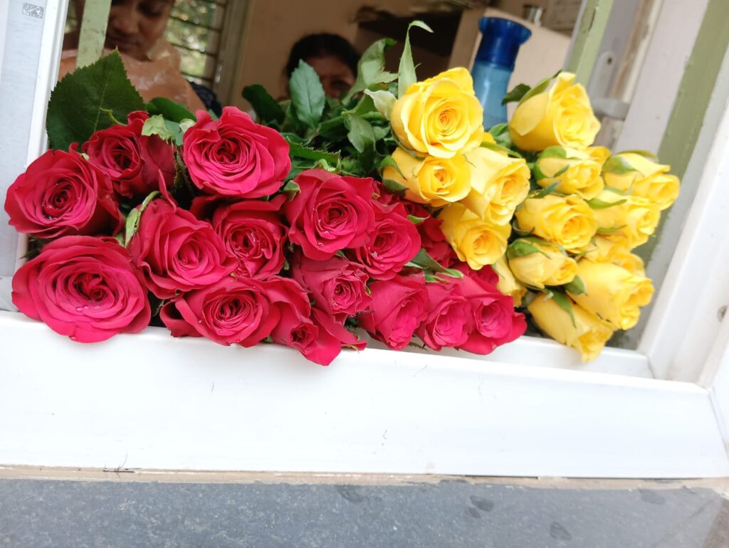 A bouquet of red and yellow roses (stock photo)