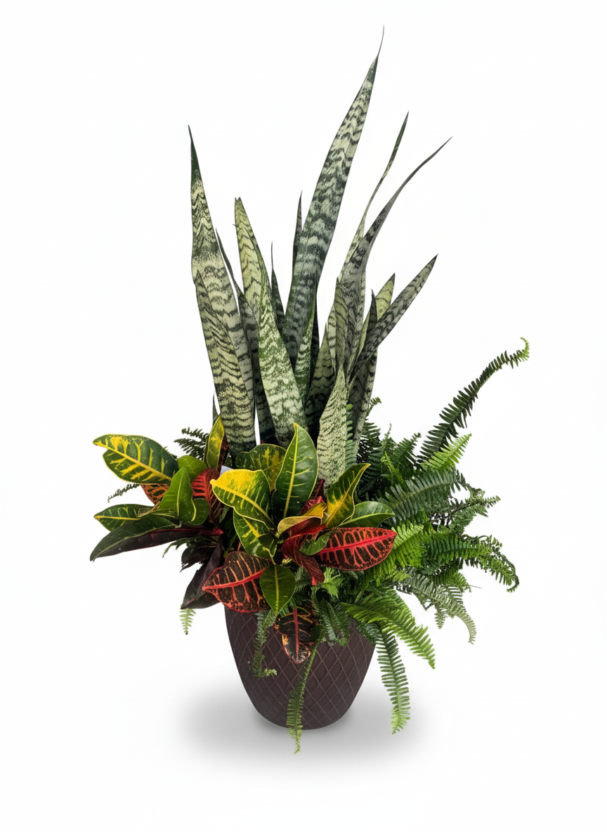 Tropical Trio Planter