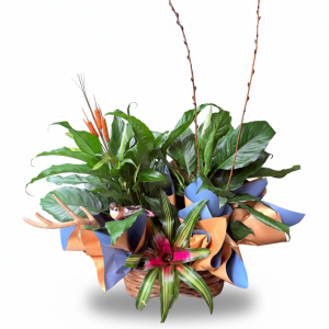 Woodland Planter Basket